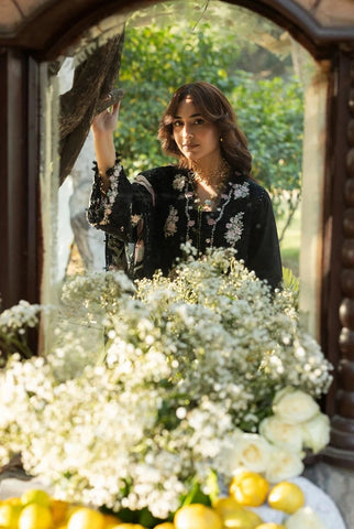 Embroidery Unstitched Lawn 3-pc Suit C-4148